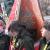 Obchody �wi�ta Niepodleg�o�ci 2011