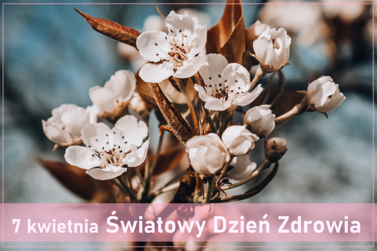 kwiaty - światowy dzień zdrowia