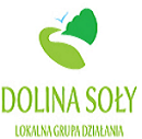 LGD Dolina Soły - ankieta dotycząca ewaluacji 