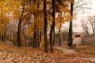 Chrzanów - park w Kościelcu