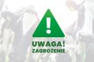 Pryszczyca. Apel wojewody małopolskiego Krzysztofa Jana Klęczara