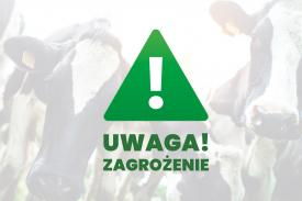 Pryszczyca. Apel wojewody małopolskiego Krzysztofa Jana Klęczara