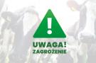Pryszczyca -komunikat Głównego Inspektora Weterynarii