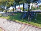 Dzień bez samochodu - ZSP nr 3 w Skidziniu (22.09.2025)