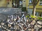 Dzień bez samochodu - ZSP nr 5 w Brzeszczach  (22.09.2025)