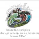 Konsultacje projektu 