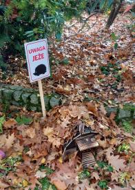 Dzień Jeża - ekoedukacja w gminnych przedszkolach