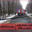 Ochotnicze Straże Pożarne - statystyczne podsumowanie roku 2025