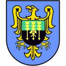 Sprawozdanie z realizacji „Rocznego programu współpracy Gminy Brzeszcze  z organizacjami pozarządowymi oraz innymi podmiotami prowadzącymi działalność pożytku publicznego na rok 2011”