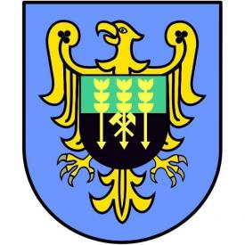 Sprawozdanie z wykonania zadania - dotacje 2012