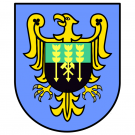 XIII Sesja Rady Miejskiej w Brzeszczach
